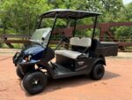 2025 Cushman Hauler 800 Elite For Sale
