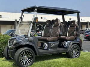 2025 Evolution Electric Vehicles D-Max GT4 For Sale